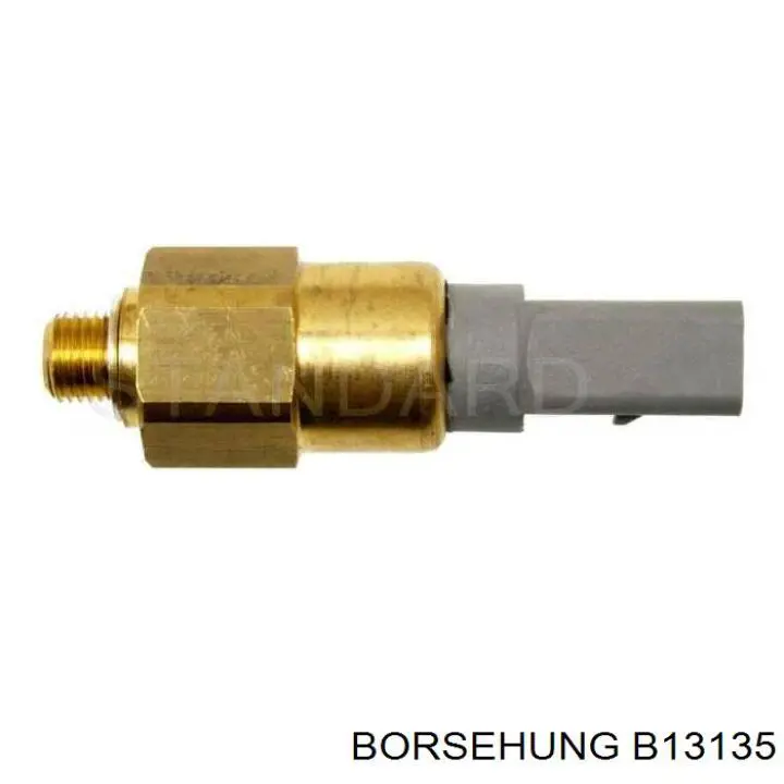 B13135 Borsehung