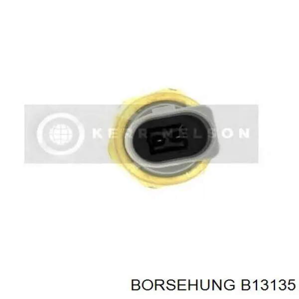 Датчик насоса гидроусилителя Borsehung 1J0919081