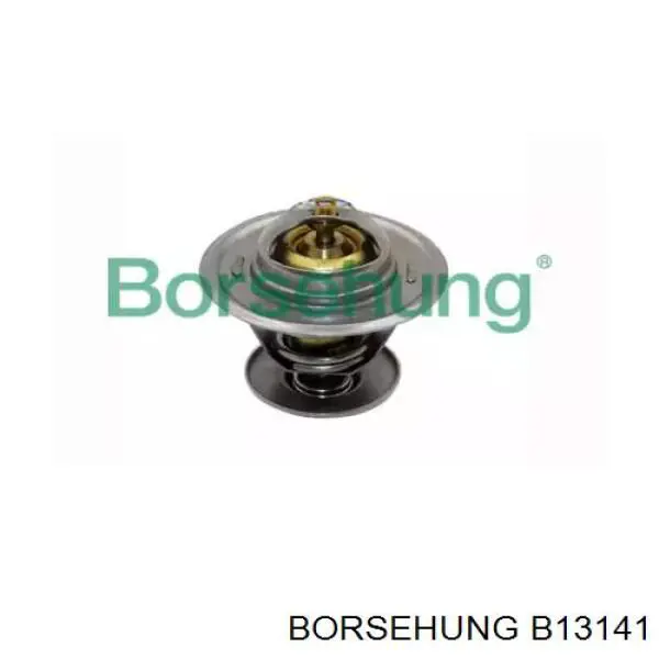 Купить B13141 Borsehung Автомобильный термостат