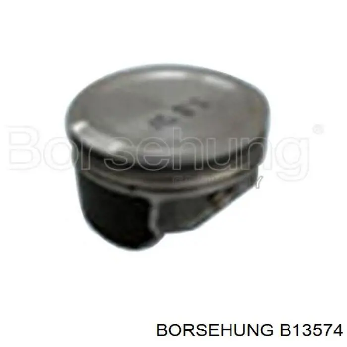 Купить B13574 Borsehung Поршни стандартные (комплект)