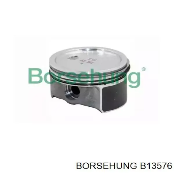 Комплект поршней Borsehung B13576 цена, от 116.82 USD