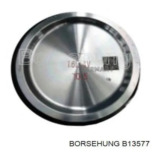 B13577 Borsehung