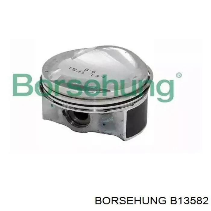 Поршень (комплект на мотор), STD Borsehung B13582