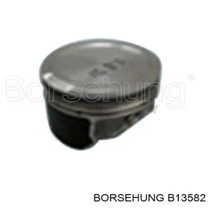 B13582 Borsehung