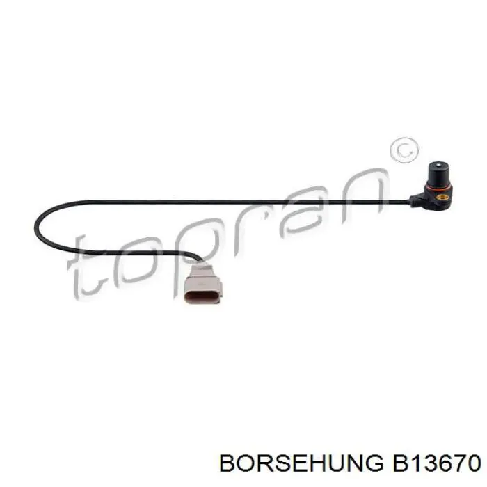 Sensor de posición del cigüeñal B13670 Borsehung