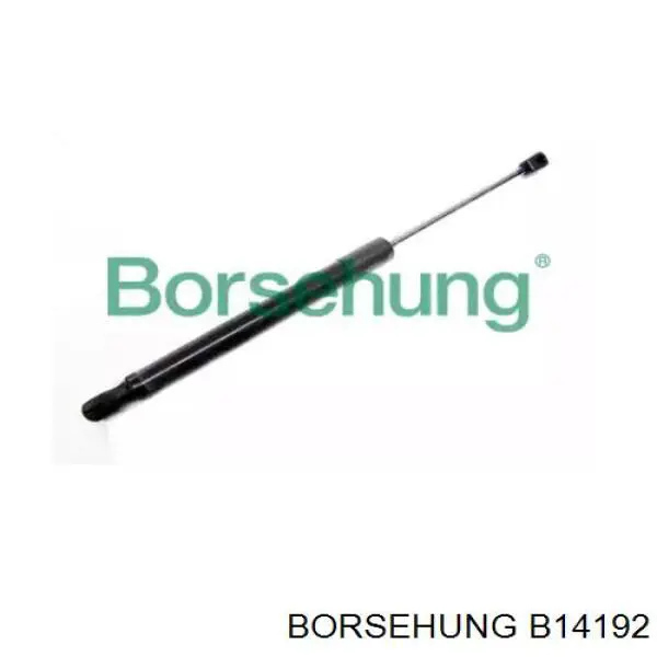  B14192 Borsehung