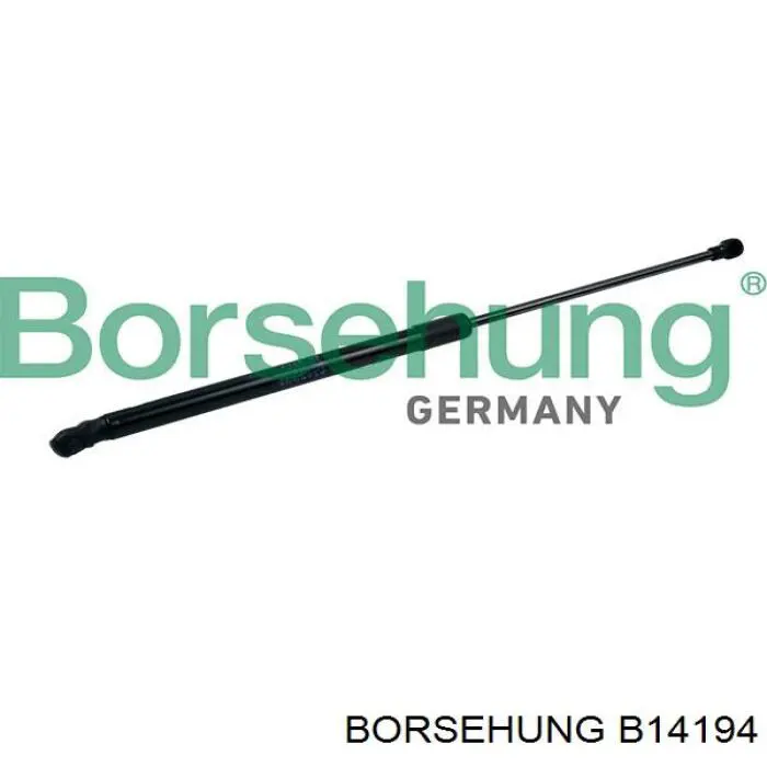 Купить B14194 Borsehung Амортизатор двери багажника