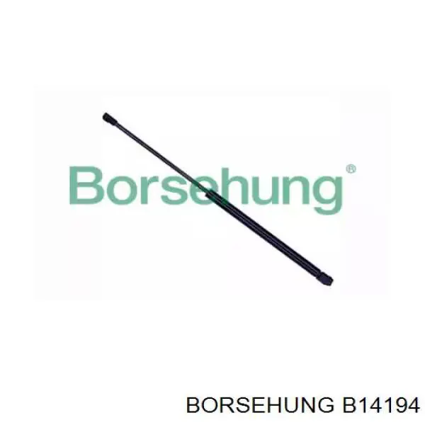 Амортизатор задней двери Borsehung B14194 цена, от 12.33 USD