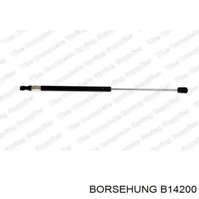 Амортизатор задней двери Borsehung B14200 цена, от 12.92 USD