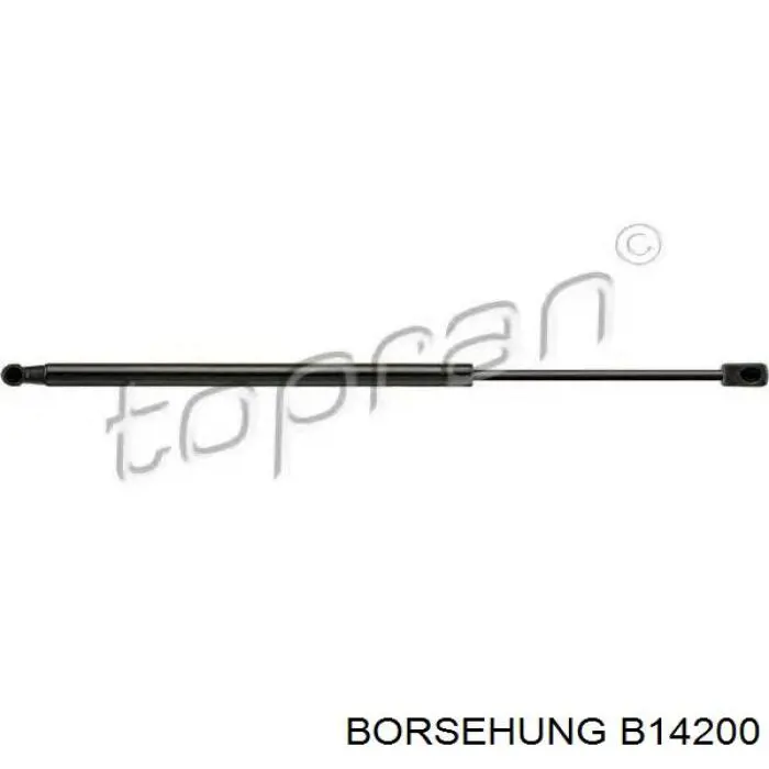 Купить B14200 Borsehung Амортизатор двери багажника