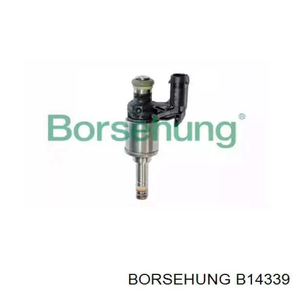 Купить B14339 Borsehung Клапанная форсунка