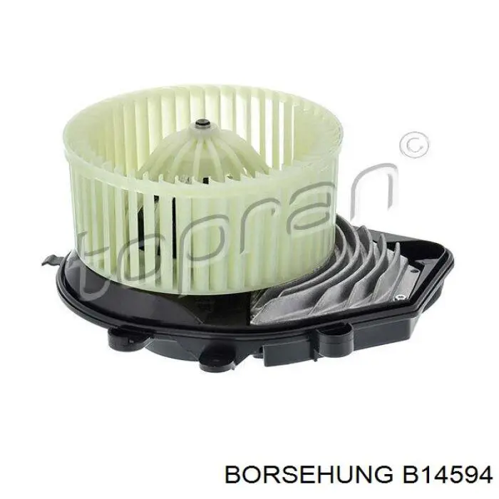B14594 Borsehung