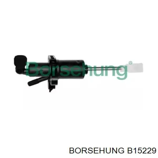 B15229 Borsehung