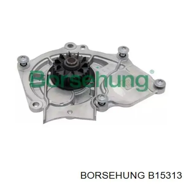 Помпа охлаждения Borsehung B15313 цена, от 66.47 USD