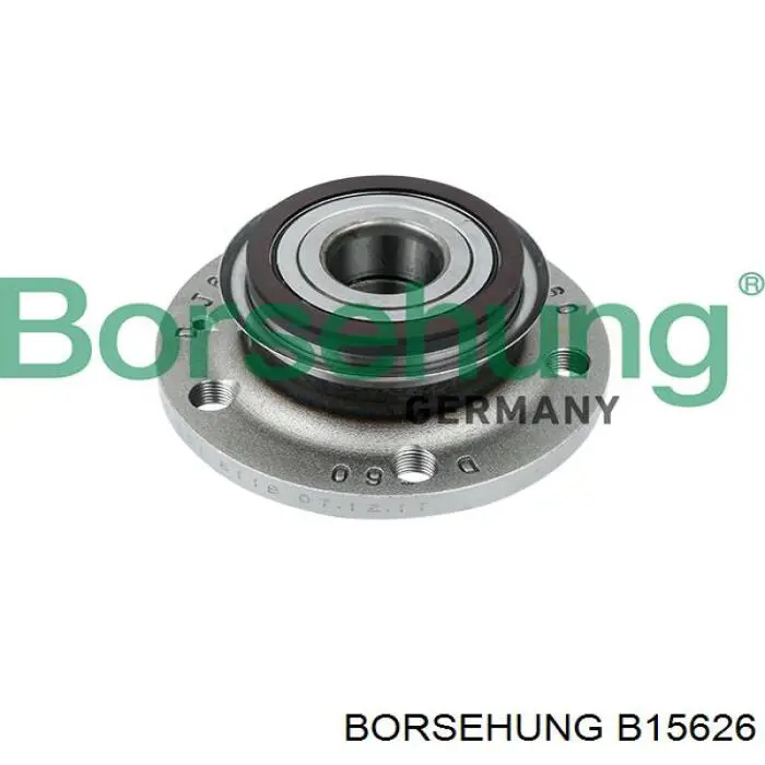 B15626 Borsehung cubo traseiro