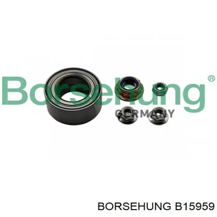 B15959 Borsehung