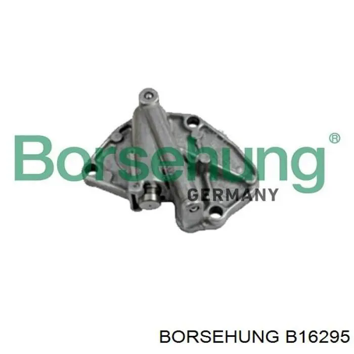 Ремкомплект ГРМ Borsehung B16295 цена, от 93.00 USD