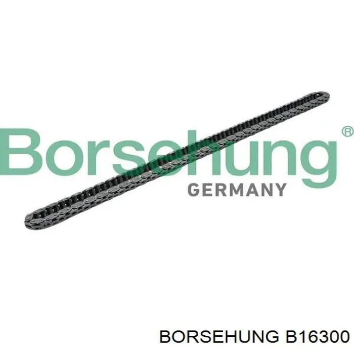 B16300 Borsehung