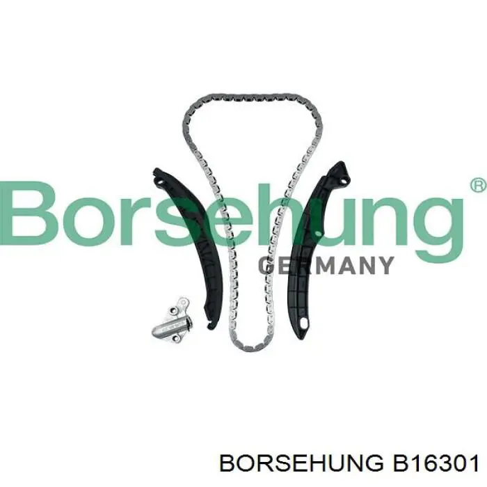 B16301 Borsehung