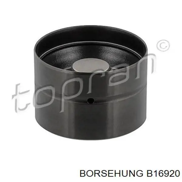 B16920 Borsehung гидрокомпенсатор (гидротолкатель, толкатель клапанов)
