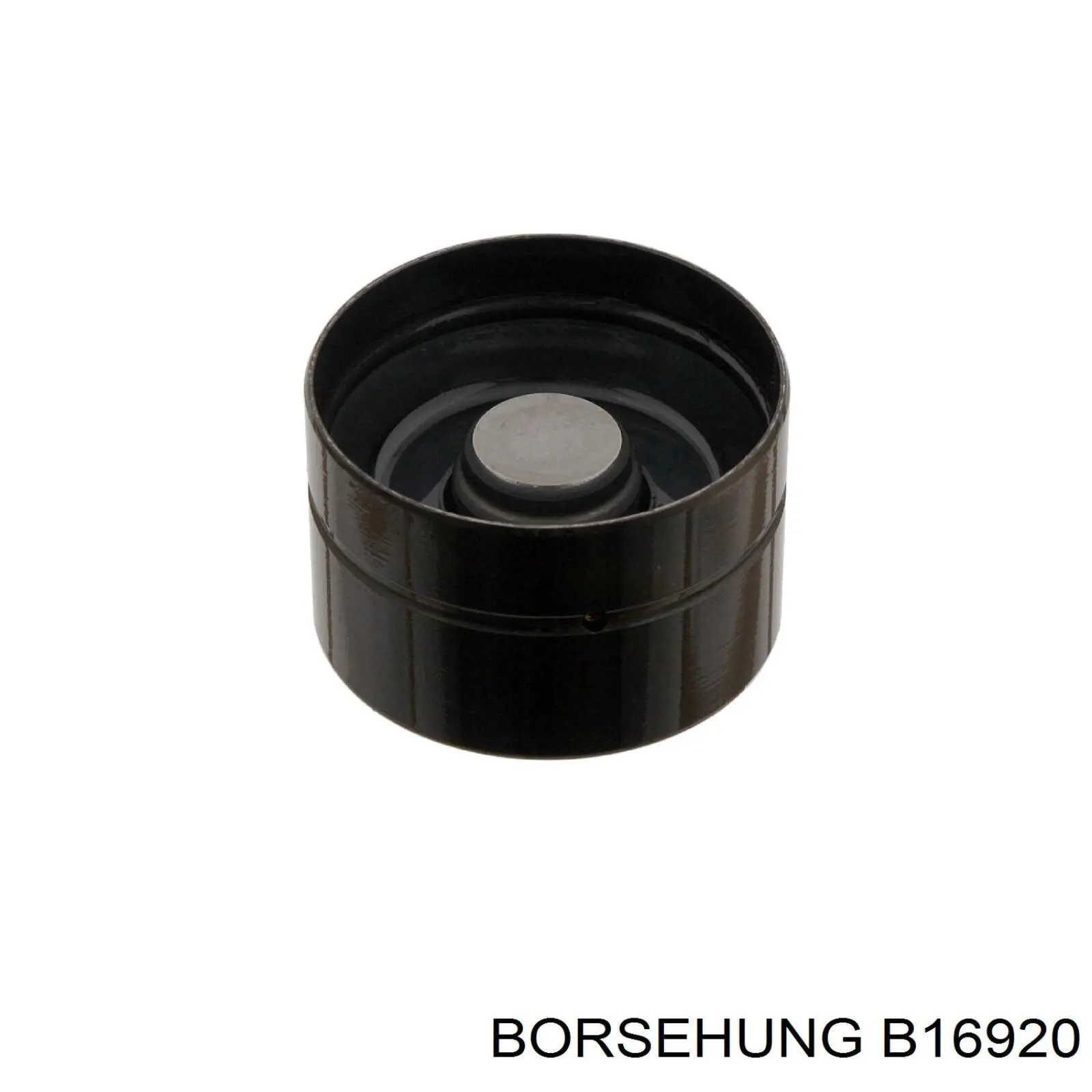 B16920 Borsehung