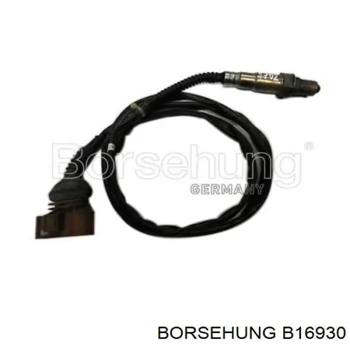 B16930 Borsehung sonda lambda, sensor de oxigênio até o catalisador