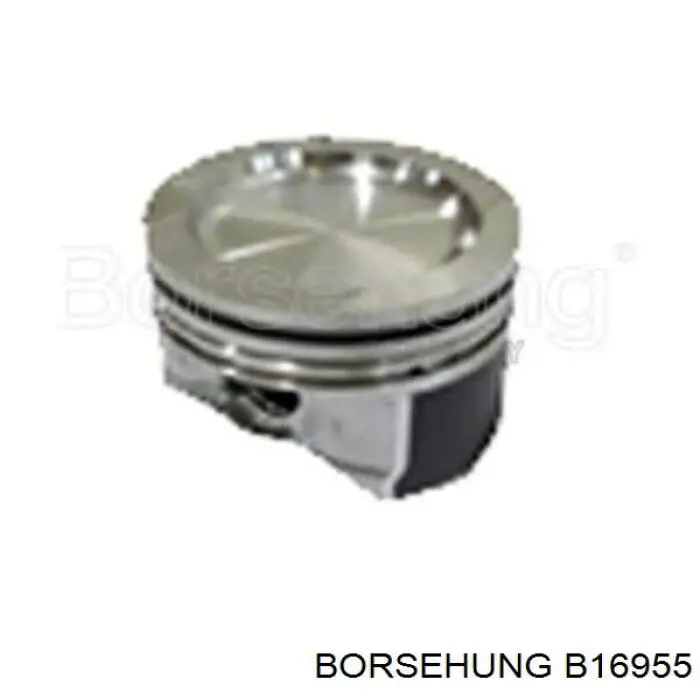 Juego De Piston Para Motor, STD B16955 Borsehung