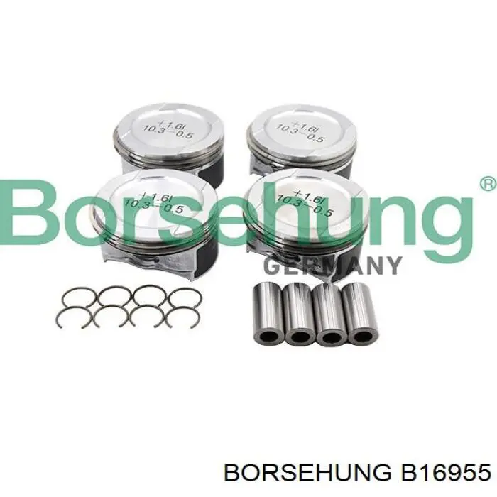 B16955 Borsehung поршень (комплект на мотор, STD)