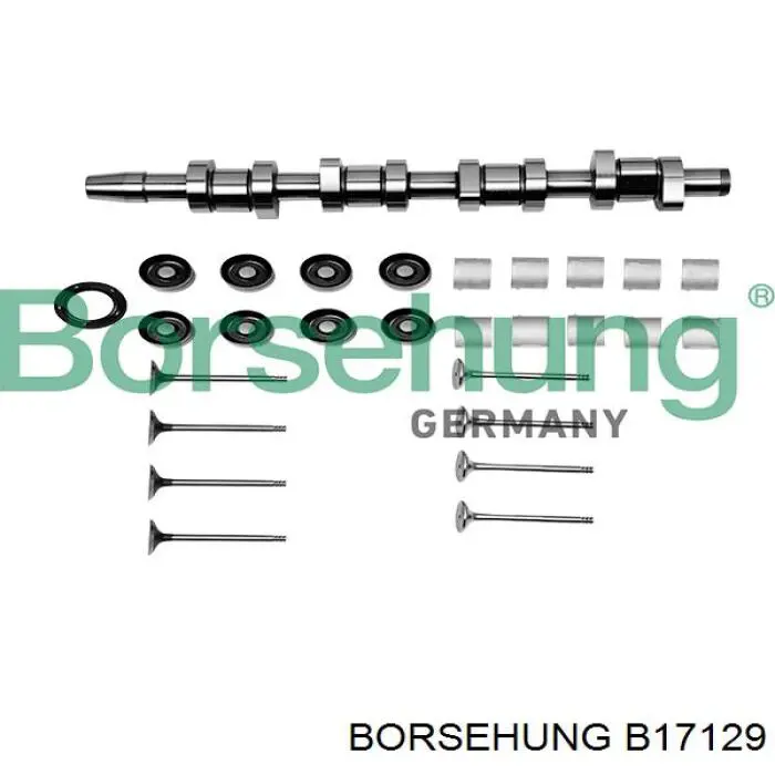  B17129 Borsehung