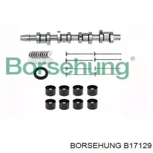 Купить B17129 Borsehung Распредвал