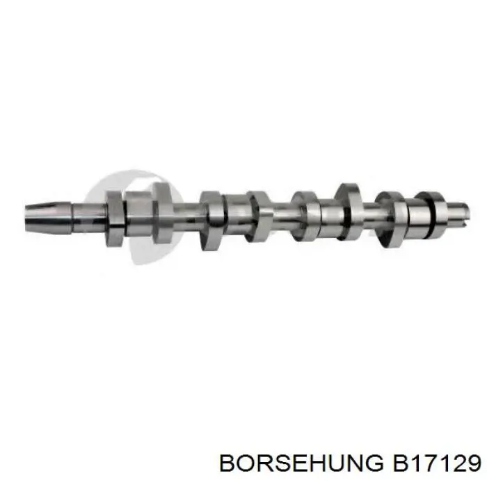 Распределительный вал двигателя Borsehung B17129 цена, от 114.66 USD