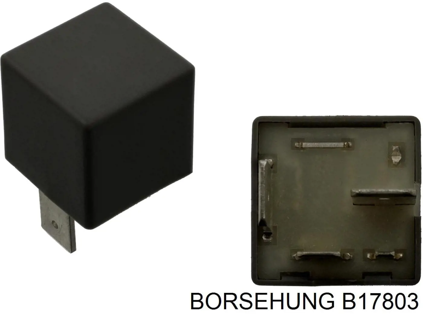 B17803 Borsehung