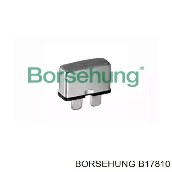  B17810 Borsehung