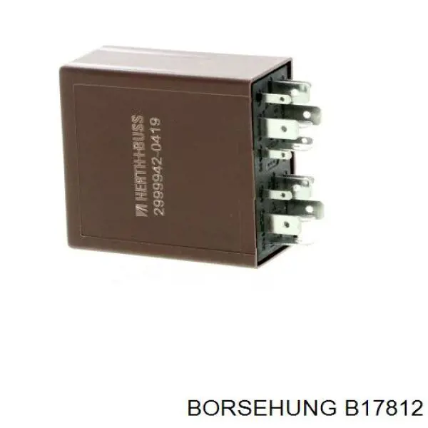 B17812 Borsehung