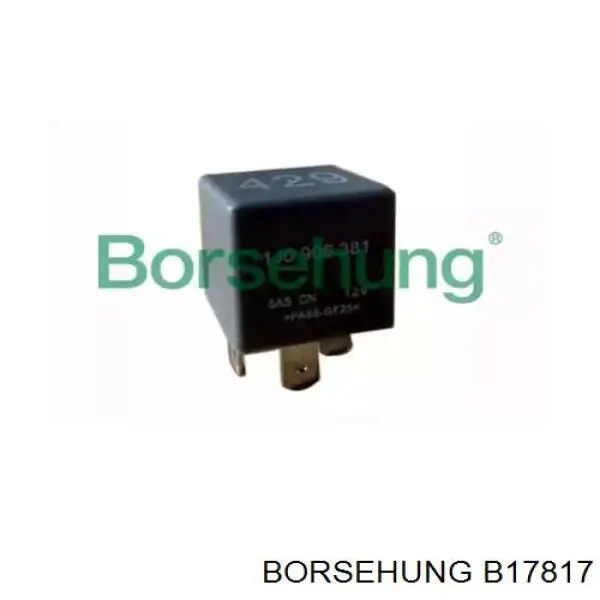  B17817 Borsehung