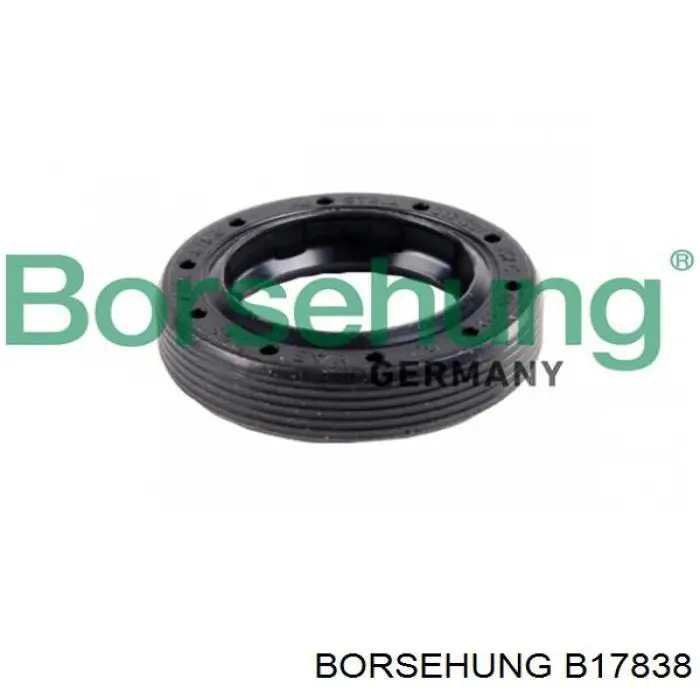 B17838 Borsehung