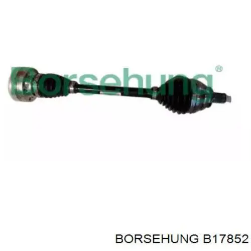  B17852 Borsehung