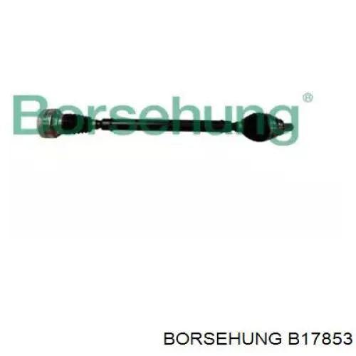  B17853 Borsehung