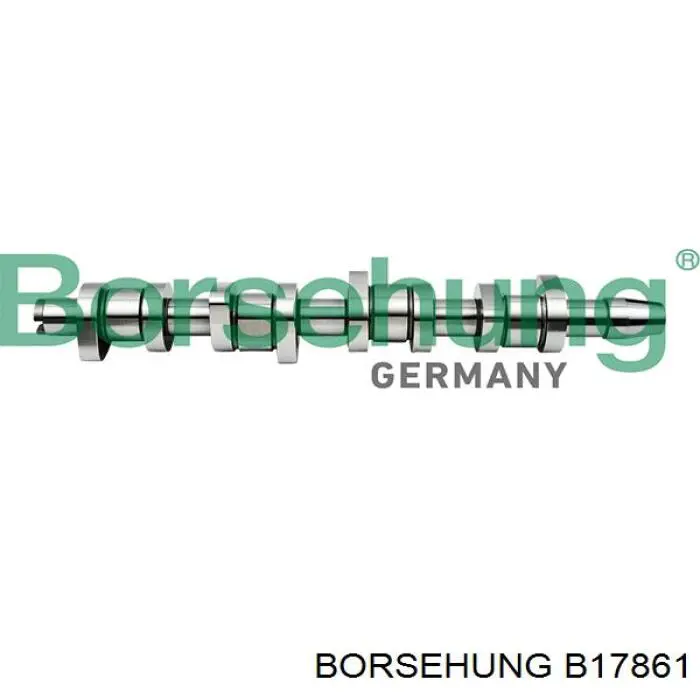 B17861 Borsehung