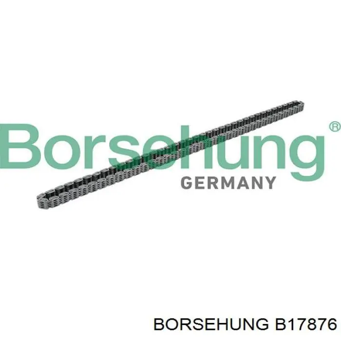 B17876 Borsehung