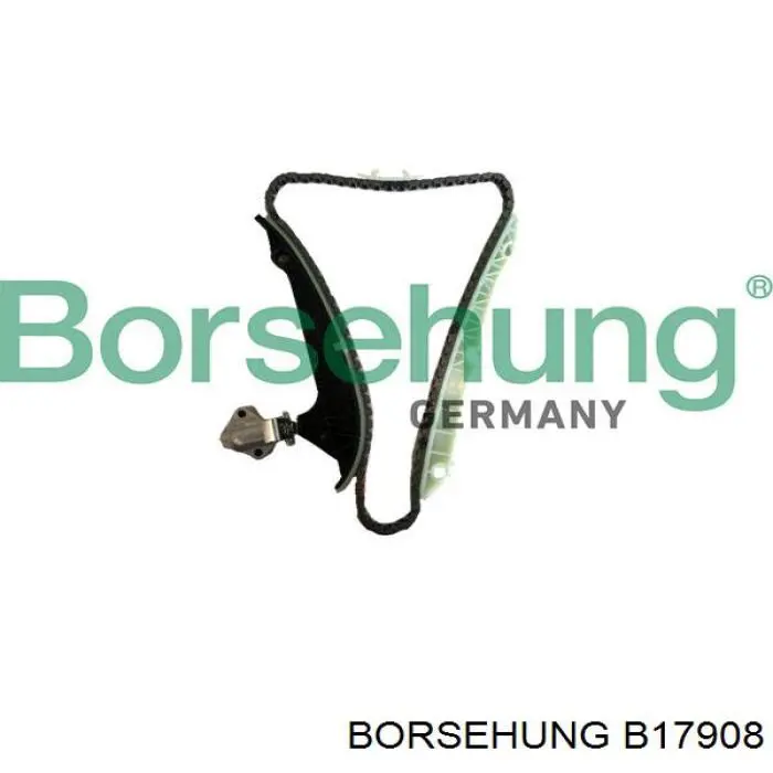 B17908 Borsehung