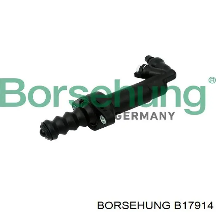 B17914 Borsehung