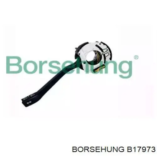 B17973 Borsehung 