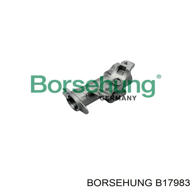 B17983 Borsehung