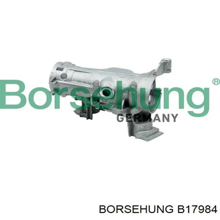 B17984 Borsehung