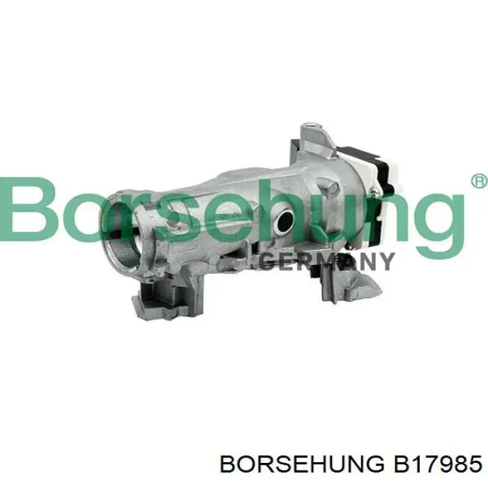 B17985 Borsehung