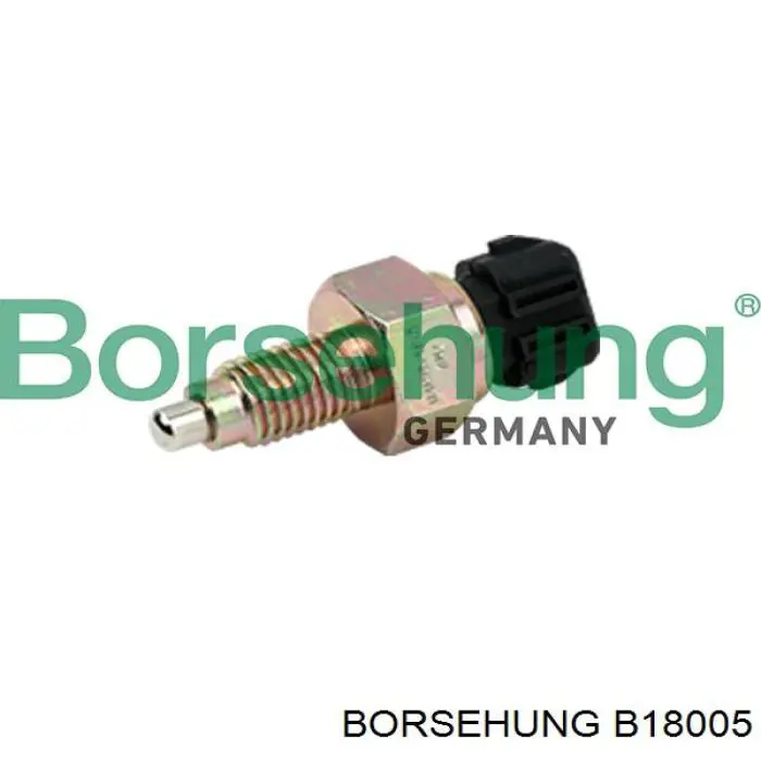 B18005 Borsehung