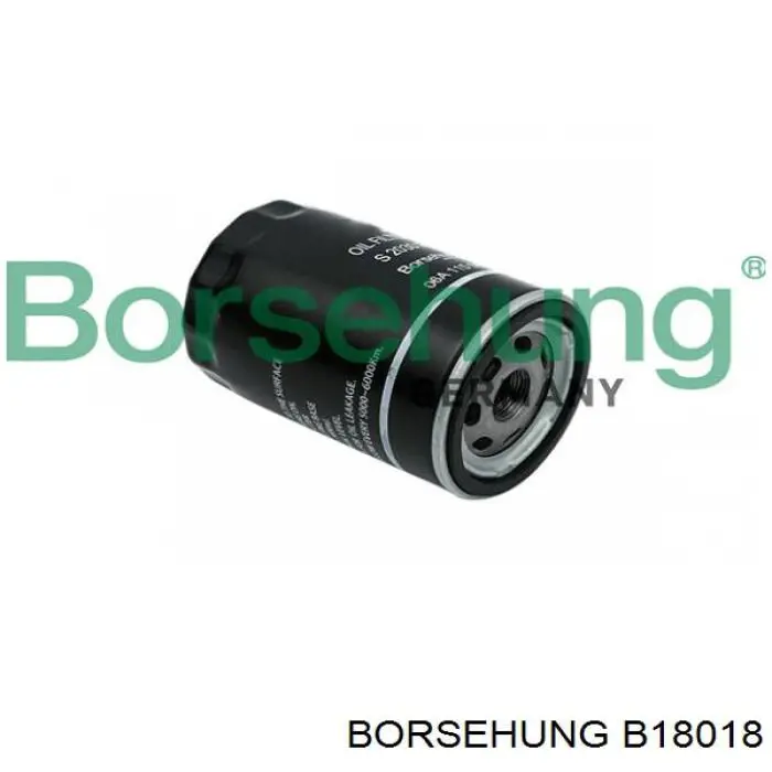 B18018 Borsehung