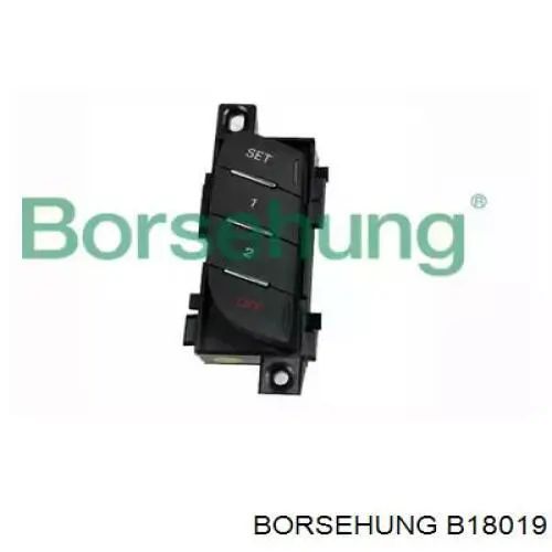  B18019 Borsehung