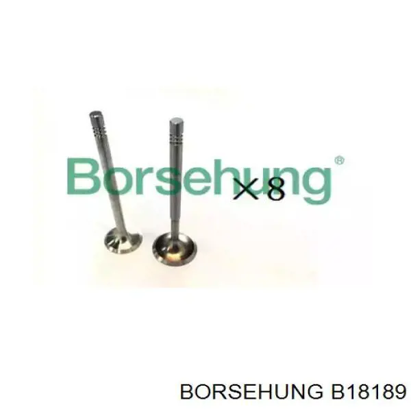 B18189 Borsehung Впускной клапан